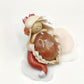 Renarde de courage - Cornaline